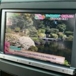 車の画像